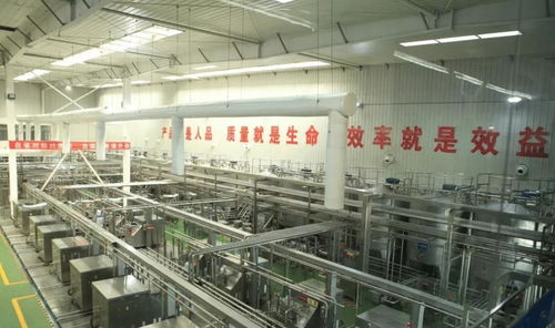 中國飲料界的超級(jí)單品 年銷40億罐，鑄就百億餐飲服務(wù)帝國