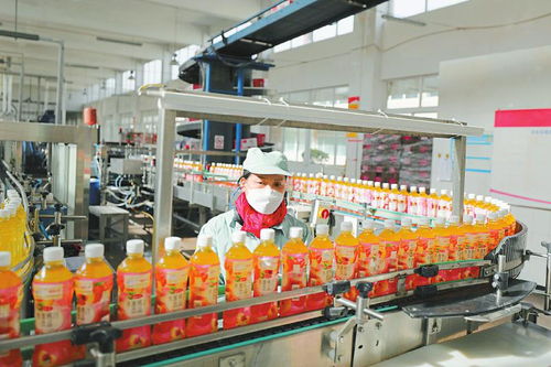 多產(chǎn)業(yè)協(xié)同發(fā)展 鋁產(chǎn)業(yè)、綠色家居與食品飲料等重點(diǎn)領(lǐng)域的建設(shè)與營商環(huán)境優(yōu)化